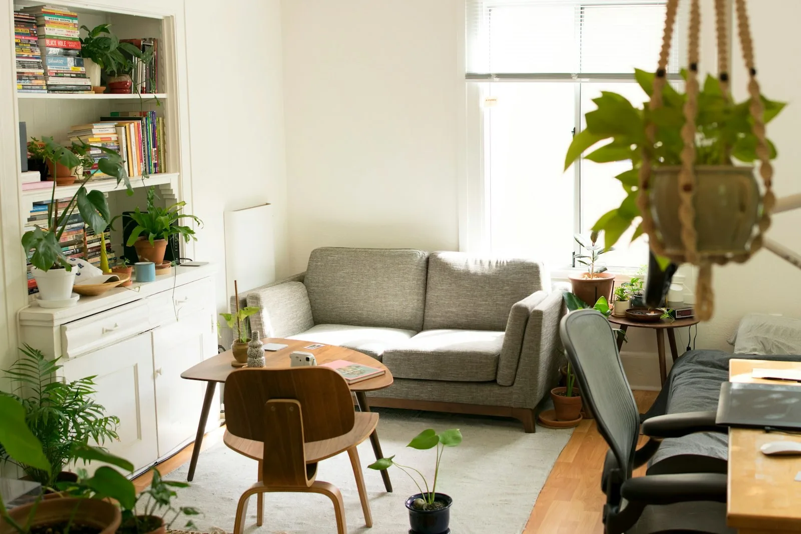 Bright apartment living room representing a renting lifestyle