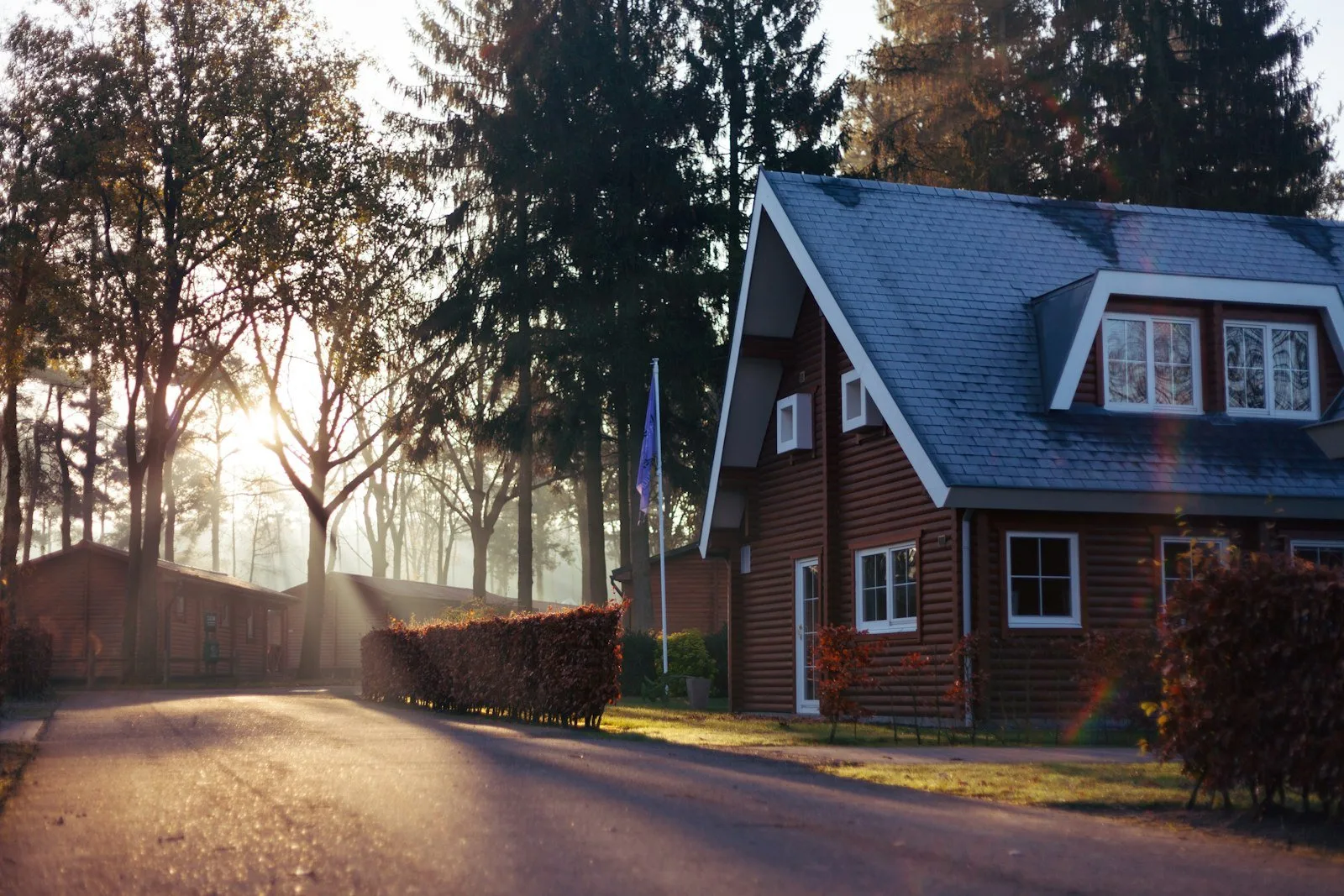 Tree-lined neighborhood street with starter homes