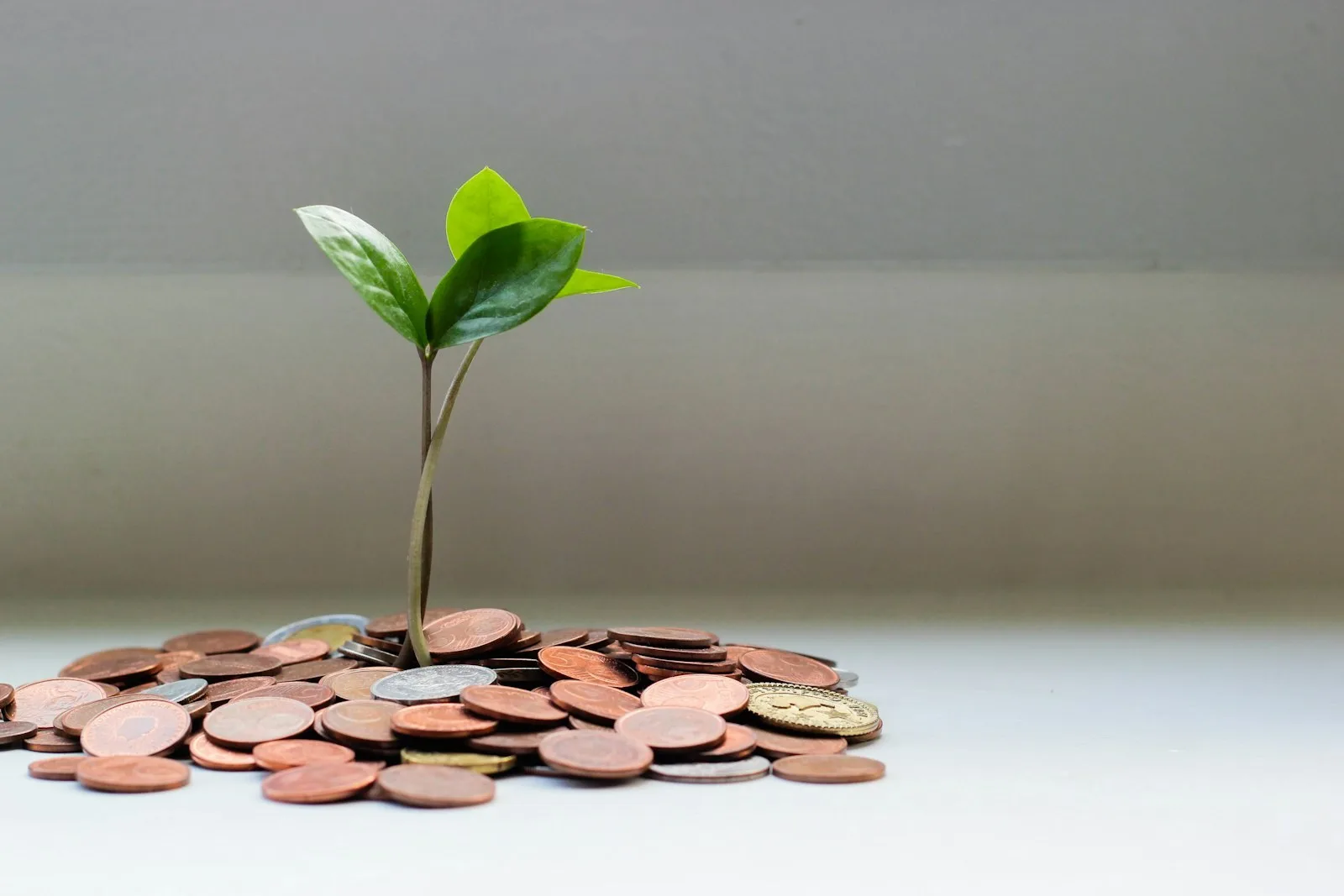 Paycheck stub and automatic transfer notes for raising a savings rate
