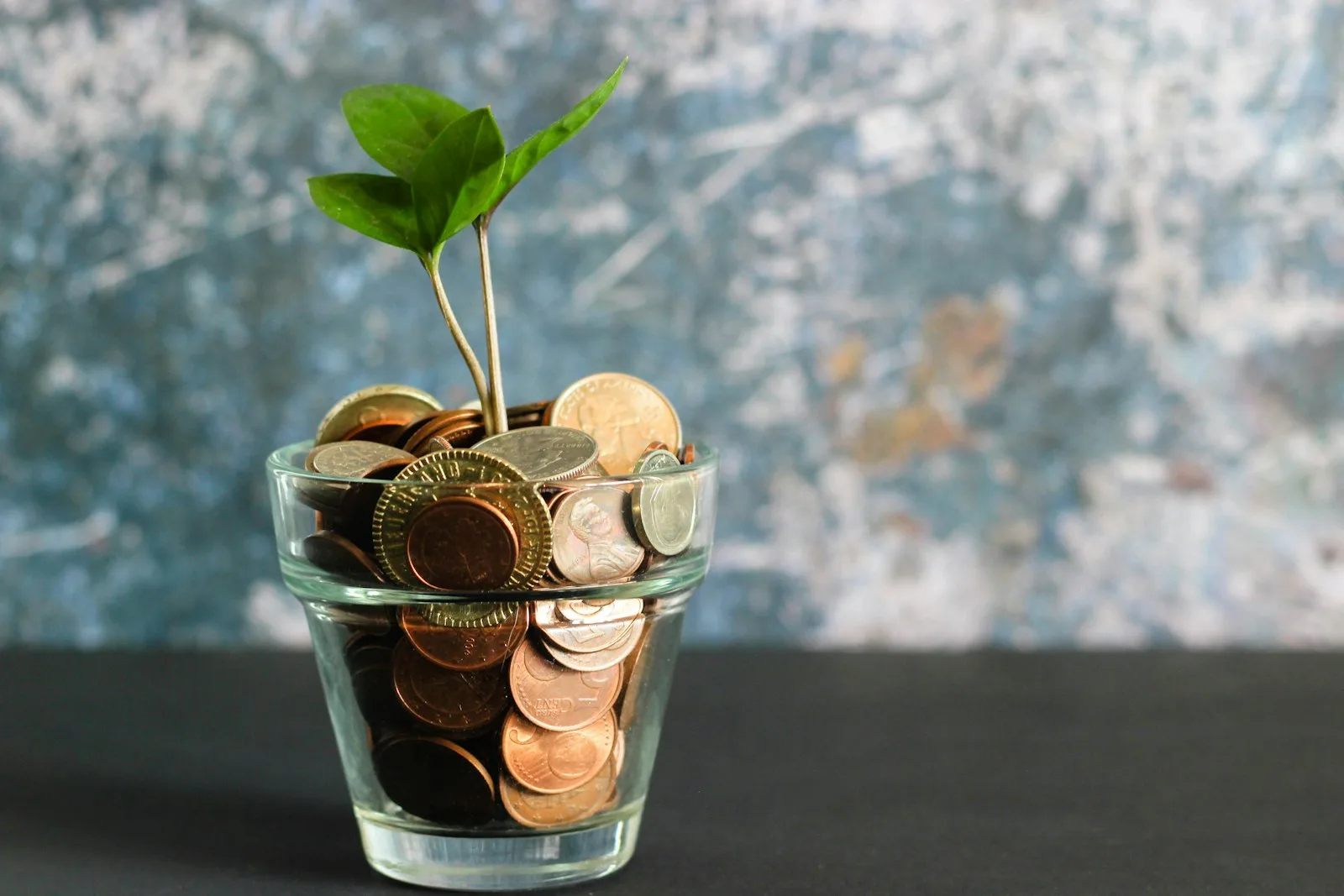 Growing plant with coins suggesting steady long-term credit score growth